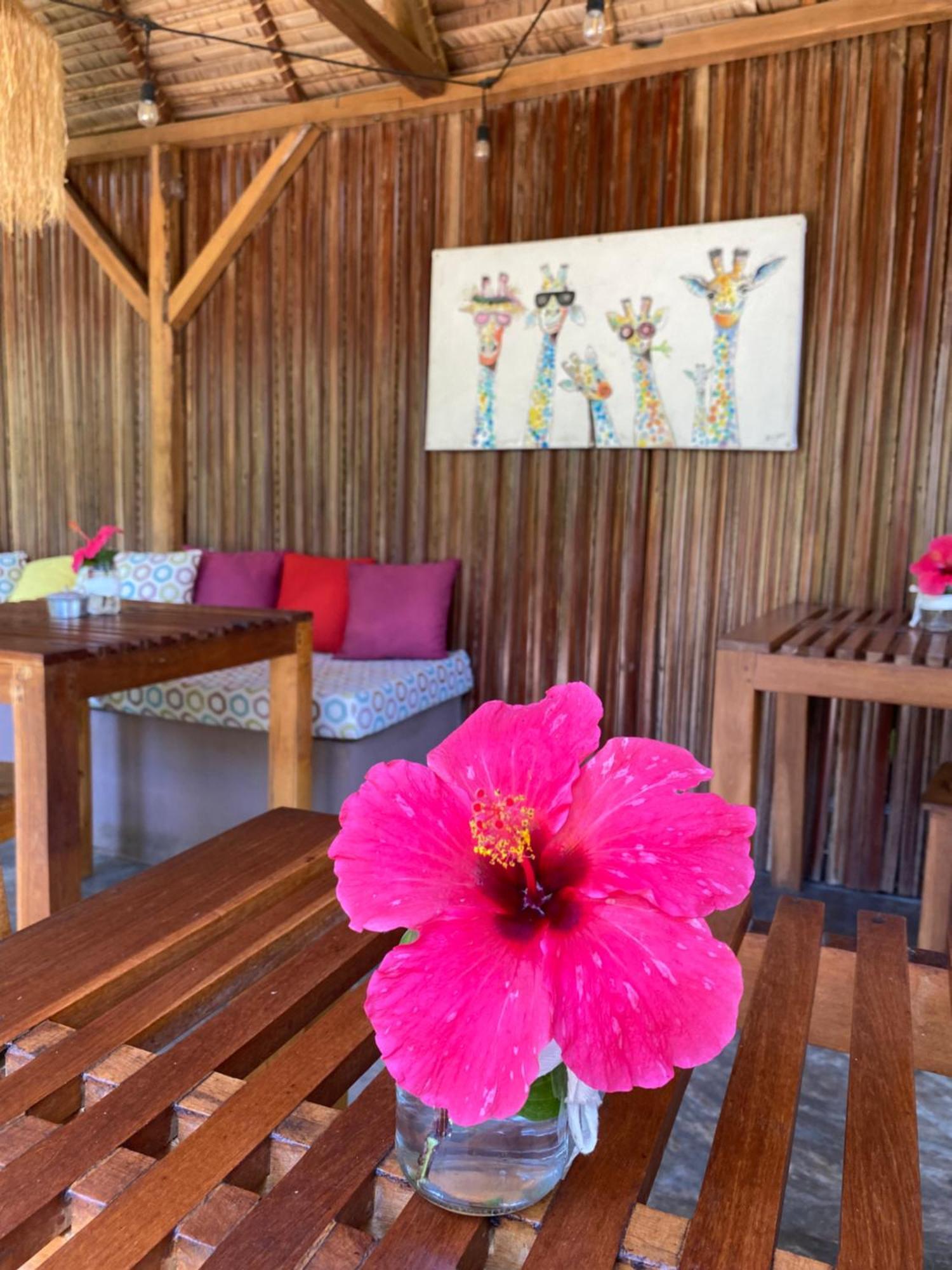 La Perle Rare De Nosy Be Hotell Ambatoloaka  Exteriör bild