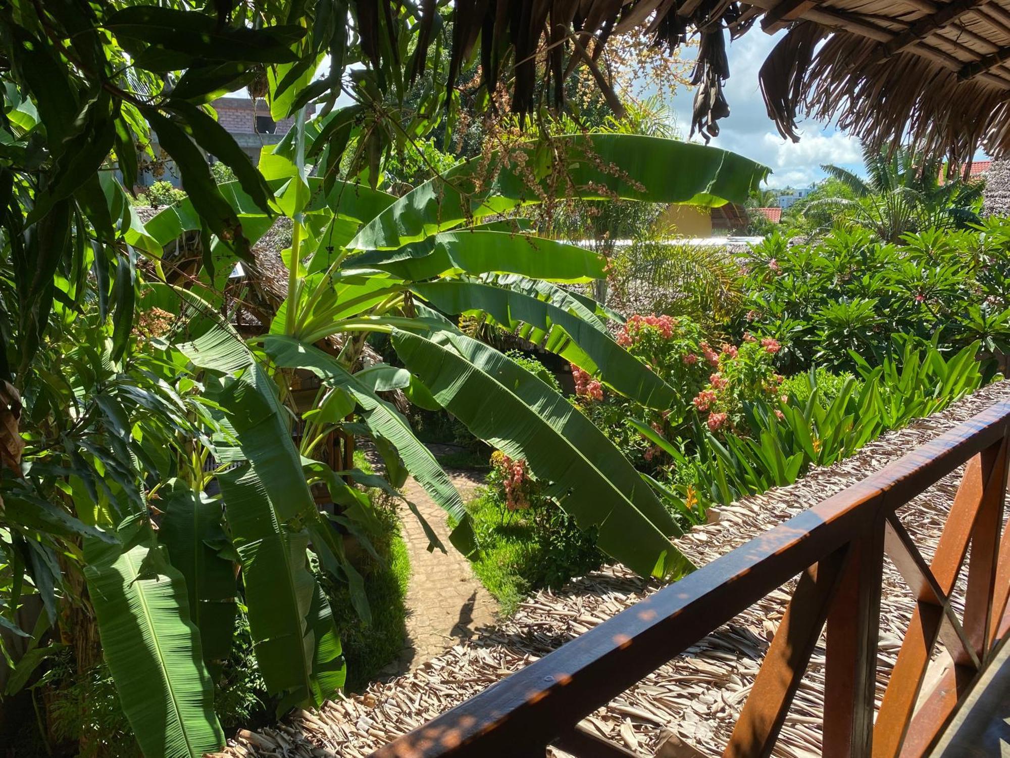 La Perle Rare De Nosy Be Hotell Ambatoloaka  Exteriör bild