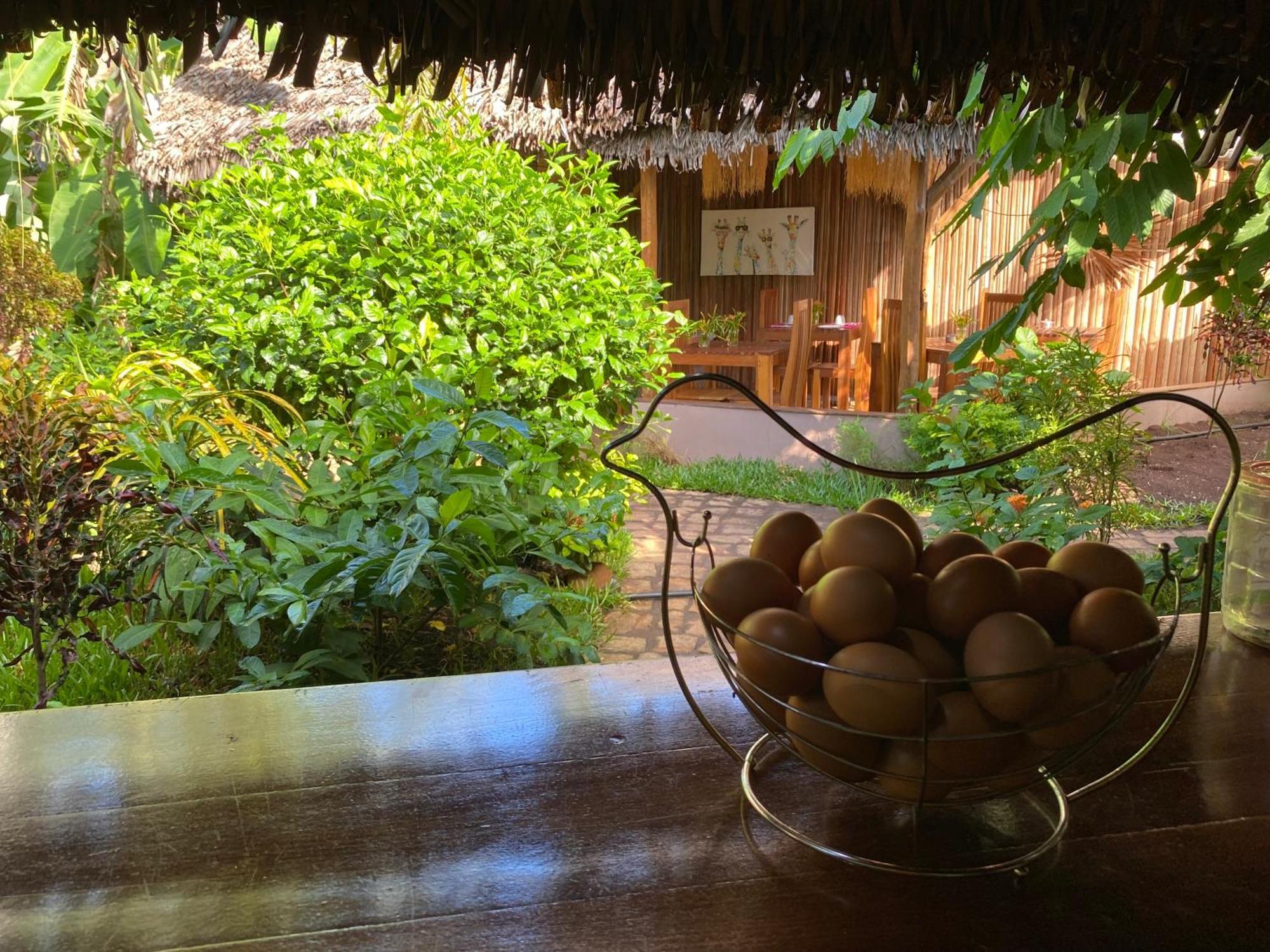 La Perle Rare De Nosy Be Hotell Ambatoloaka  Exteriör bild
