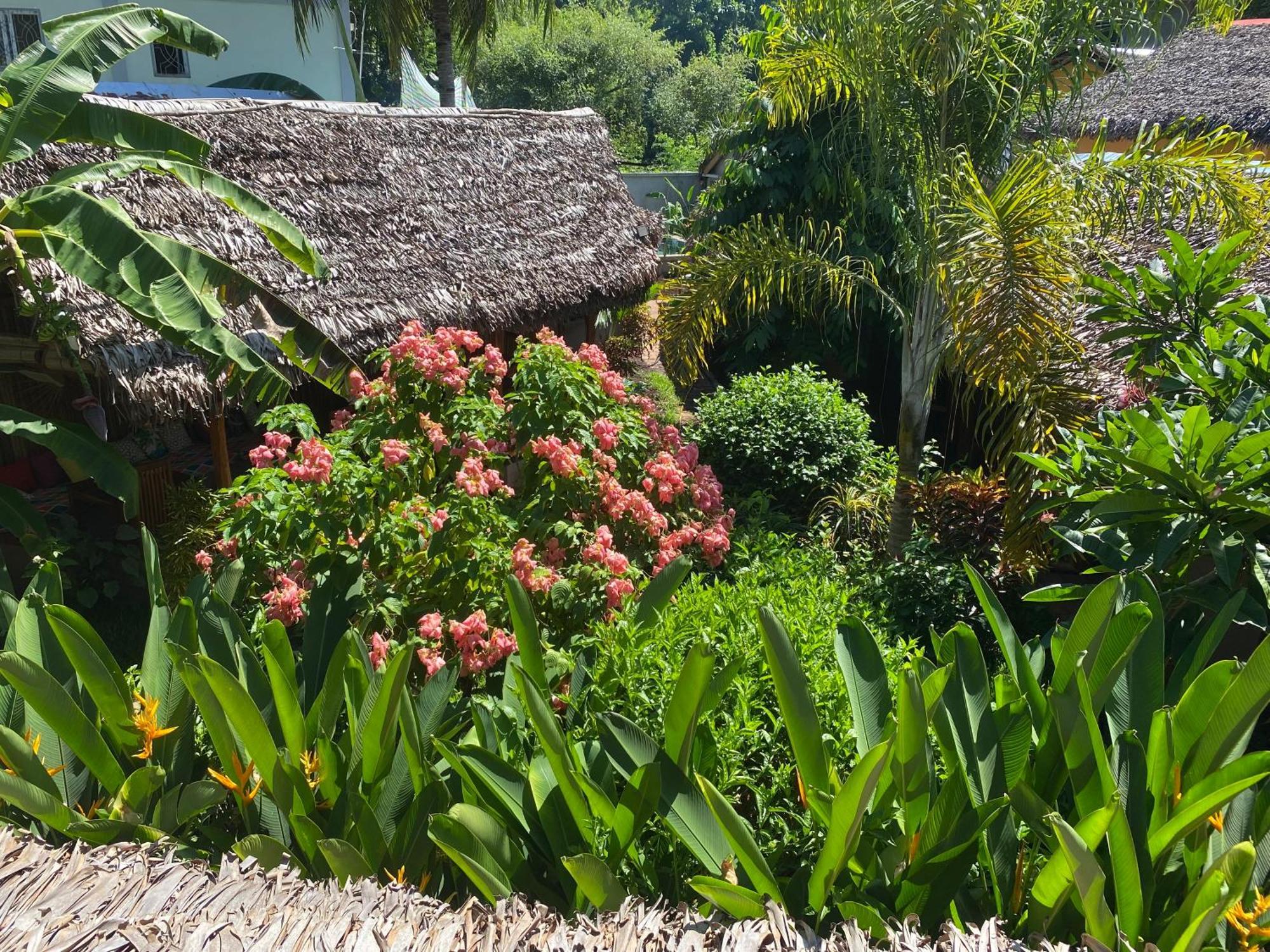 La Perle Rare De Nosy Be Hotell Ambatoloaka  Exteriör bild