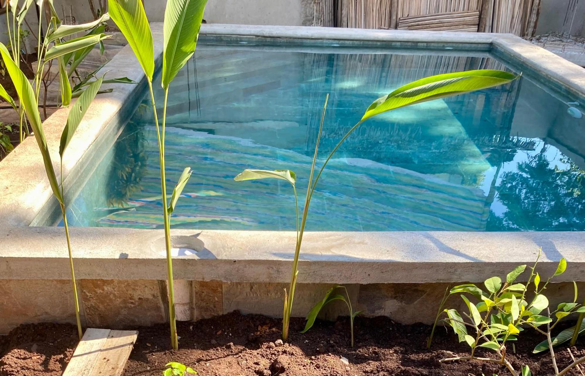 La Perle Rare De Nosy Be Hotell Ambatoloaka  Exteriör bild